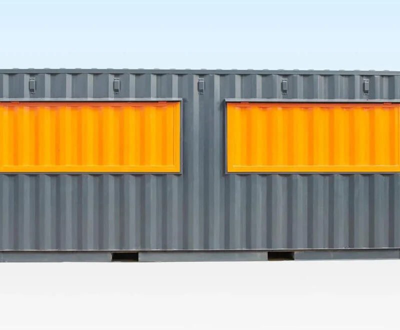 Conteneur maritime de 20 pieds conçu pour la vente